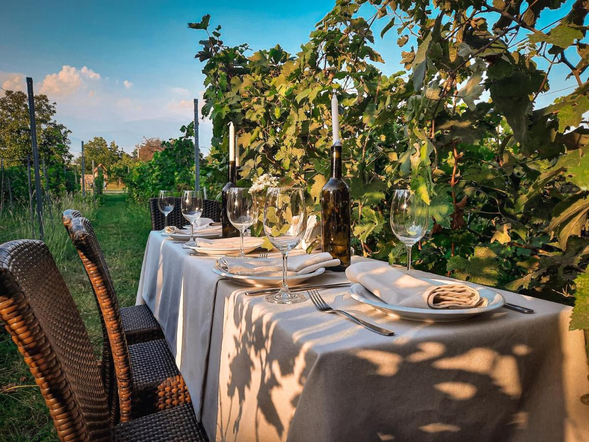 Schuchmann Wines Château,Villas & SPA Telavi Ngoại thất bức ảnh