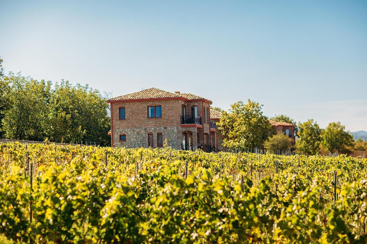 Schuchmann Wines Château,Villas & SPA Telavi Ngoại thất bức ảnh